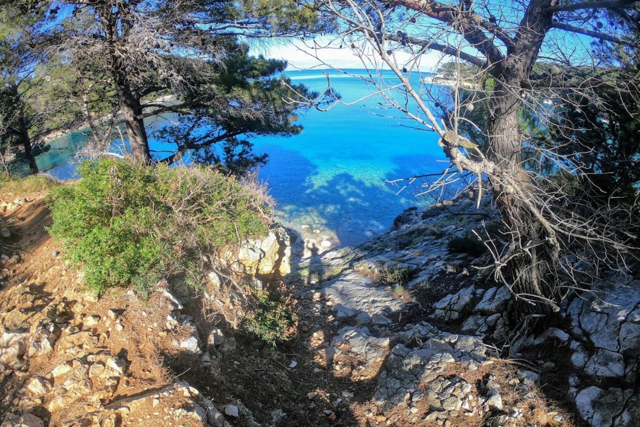 Amaryllis Residence, Apartment Diana & Deluxe Rooms With Shared Kitchen Veli Lošinj Екстериор снимка