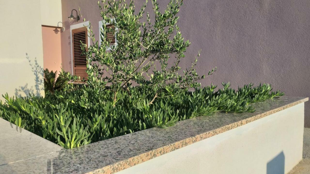 Amaryllis Residence, Apartment Diana & Deluxe Rooms With Shared Kitchen Veli Lošinj Екстериор снимка